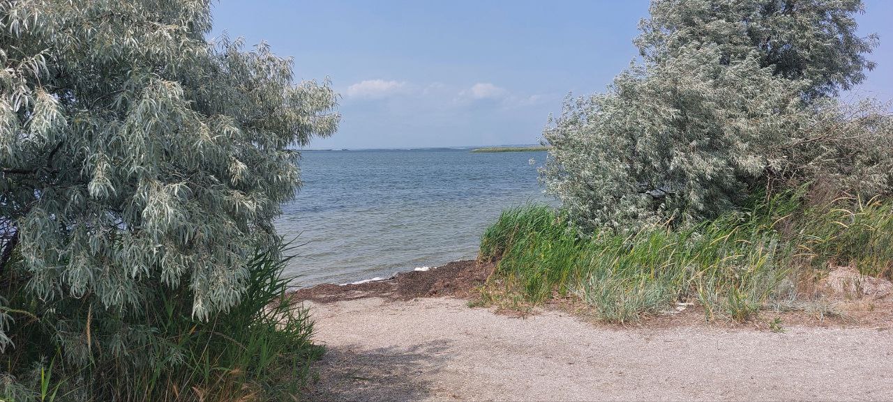 Пукалов подтвердил чистоту воздуха, моря и безопасность песка на пляжах Анапы