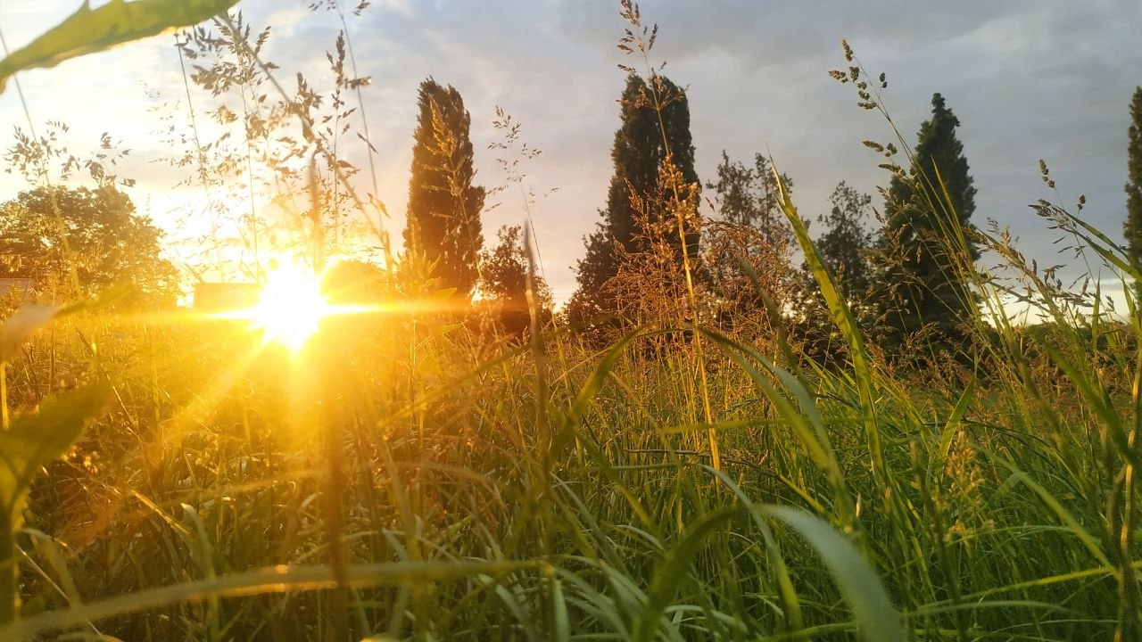 Учёные выявили следы Чернобыля в почвах Ростовской области