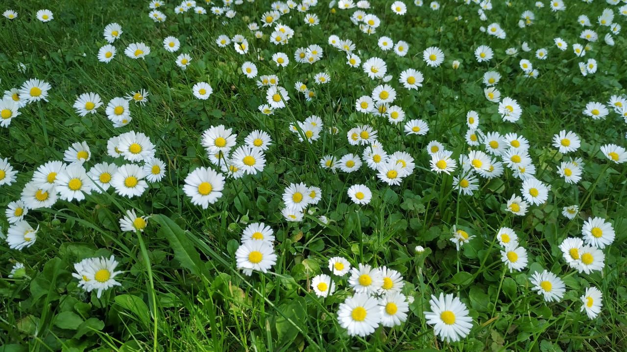 Россиянам перечислили причины усталости весной