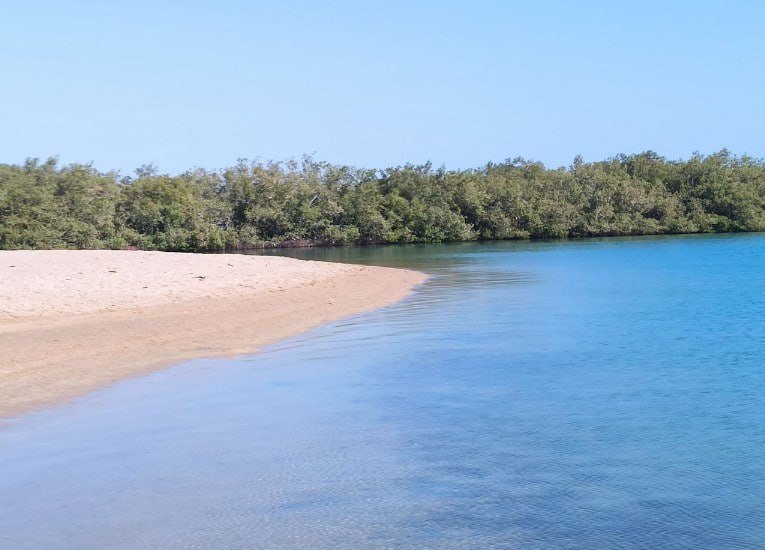 В Анапе зафиксирована гибель более 200 птиц из-за нефтепродуктов