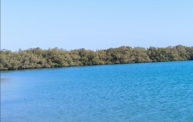 СМИ рассказали о возможном росте потерь США из-за блокады Ормузского пролива