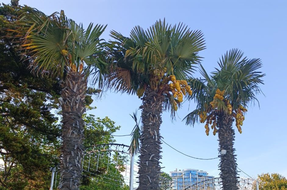 Российским туристам раскрыли новые правила въезда в Индию с 1 апреля