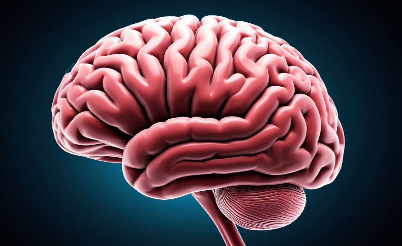 Врач о состоянии Трампа: признаки деменции становятся все более очевидными