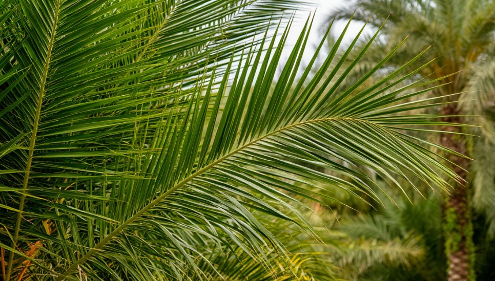 Протоиерей Козлов: на Страстной неделе стоит больше думать о Боге