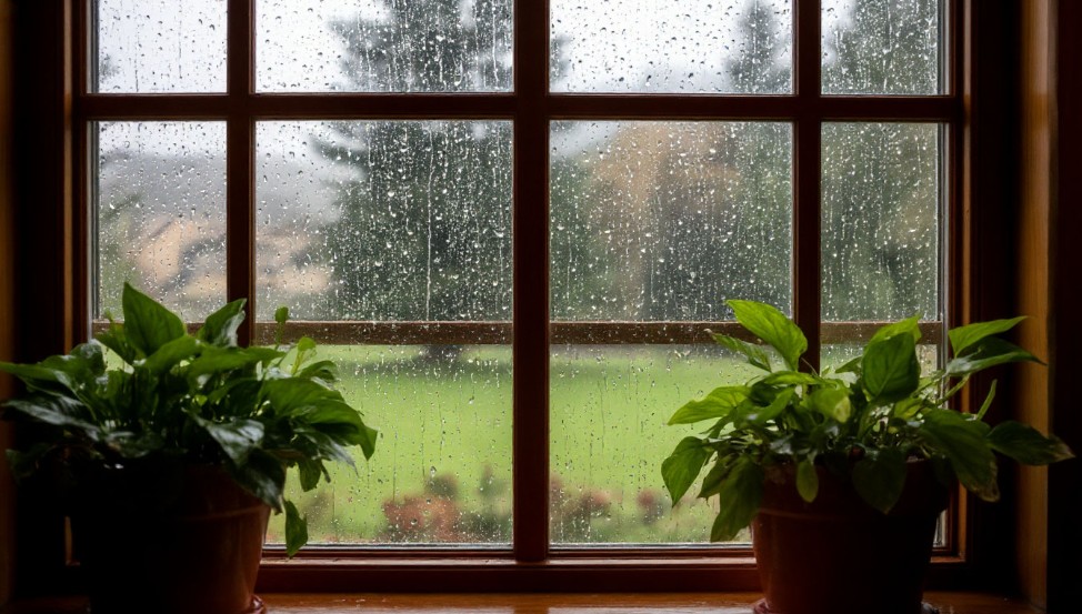 Микроорганизмы влияют на дождь, выступая как инициаторы осадков