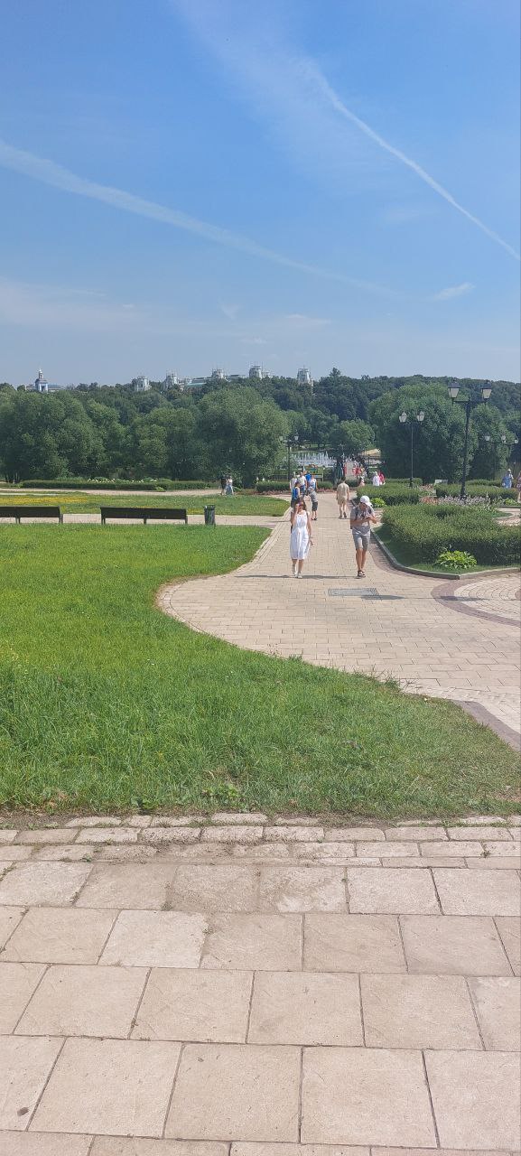 В парке «Царицыно» нашли тело мужчины с признаками насильственной смерти